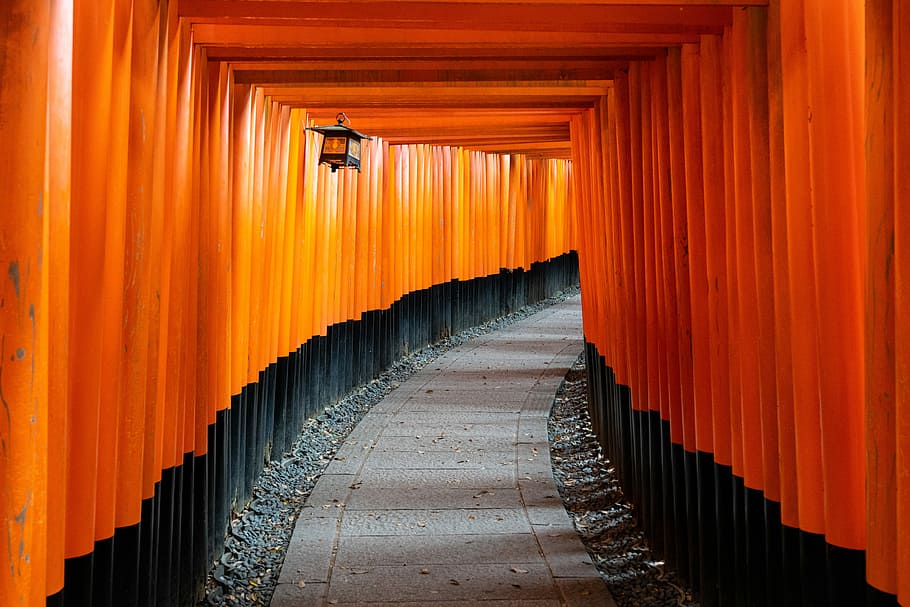 10000 gates, pathway underneath tori gates, orange, walkway, tunnel, HD wallpaper