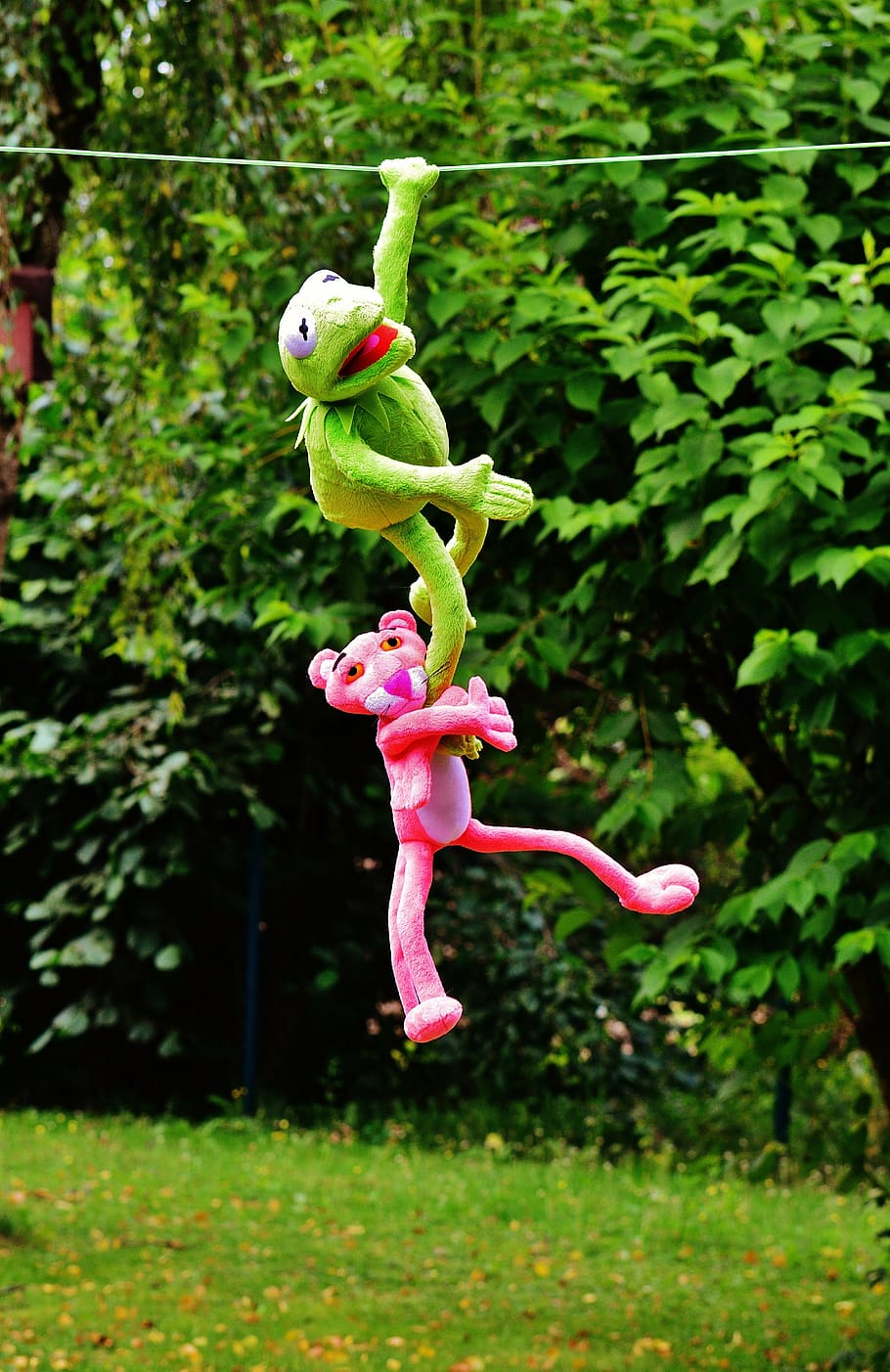 Pink Panther and Kermit the Frog plush toys, hang out, the pink panther