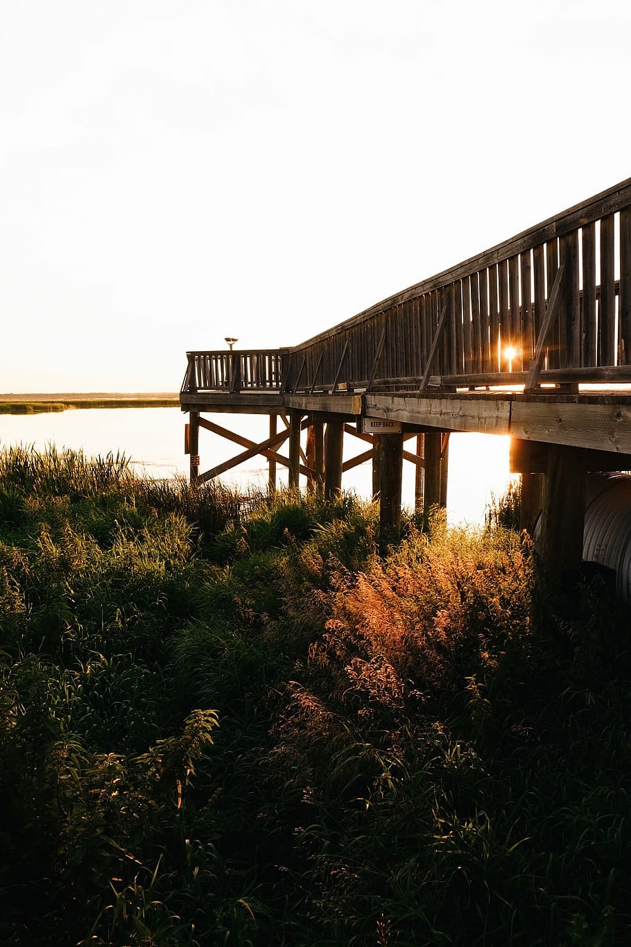 footbridge under plants near body of water, brown wooden dock on body of water during golden hour HD wallpaper