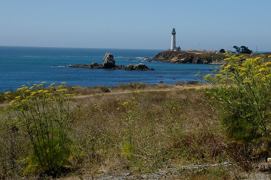 Lighthouse, America, Pacific, Ocean, view, blue, coast, national park HD wallpaper