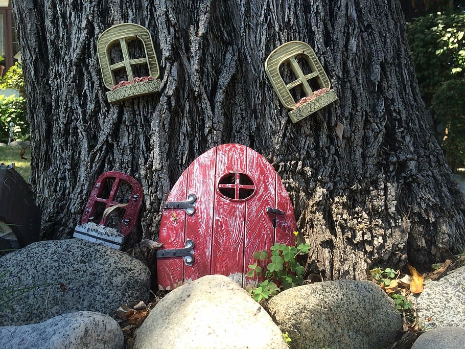 tree, house, rocks, nature, landscaping, trunk, tree trunk HD wallpaper