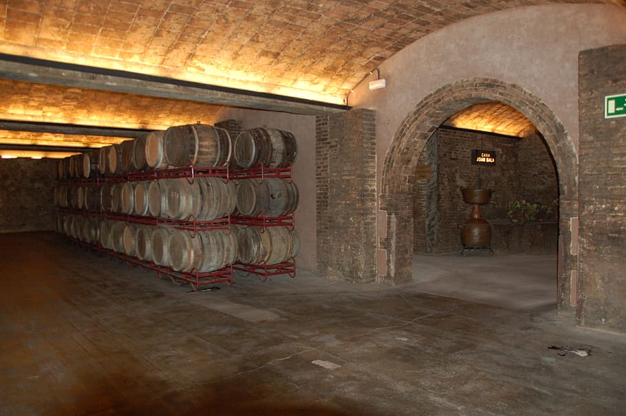 barrel cellars with turned on light, wine cellar, spain, wine barrels
