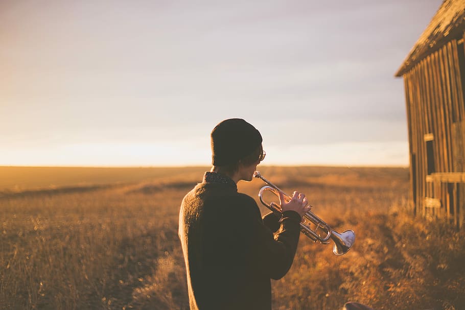 man playing trumpet during daytime, musician, musical Instrument HD wallpaper