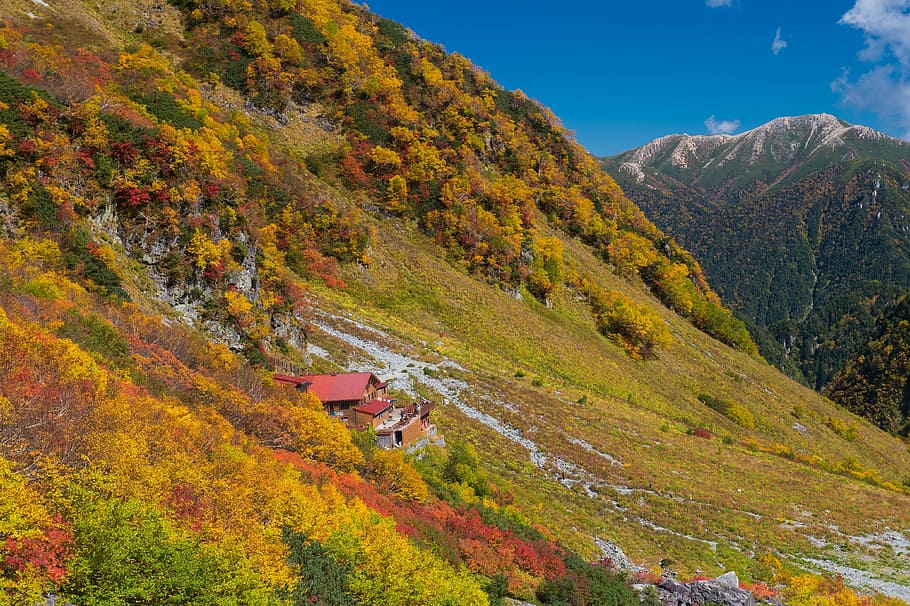 yellow, red, 涸沢 curls, autumn, scenics - nature, mountain HD wallpaper