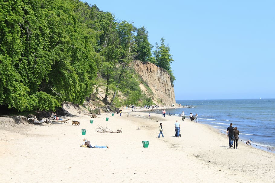 cliff, gdynia, view, nature, the baltic sea, landscape, beach HD wallpaper