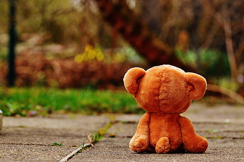 shallow focus photography of brown bear plush toy, teddy, lonely HD wallpaper