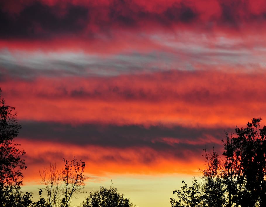 Sunset, Red, Sky, Sunrise, Cloud, landscape, summer, horizon HD wallpaper