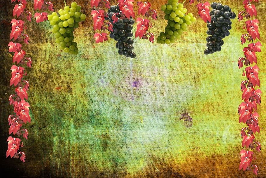 green and purple grapes, wine, autumn, background, bulletin board HD wallpaper