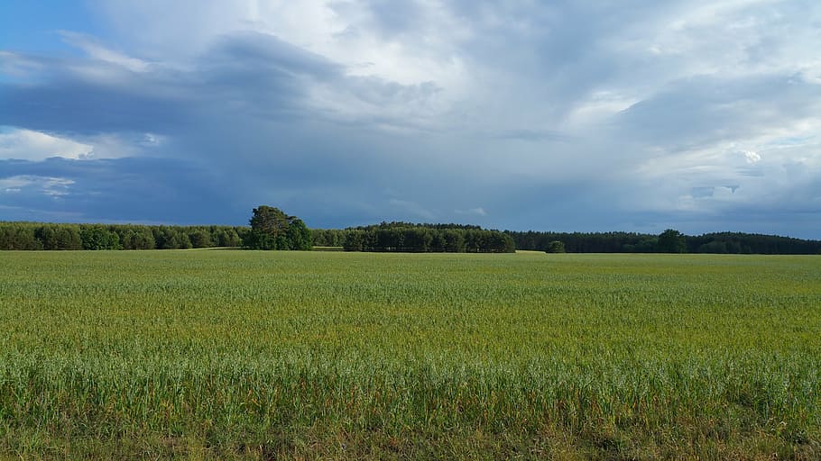 landscape, germany, sky, view, countryside, plant, cloud - sky HD wallpaper