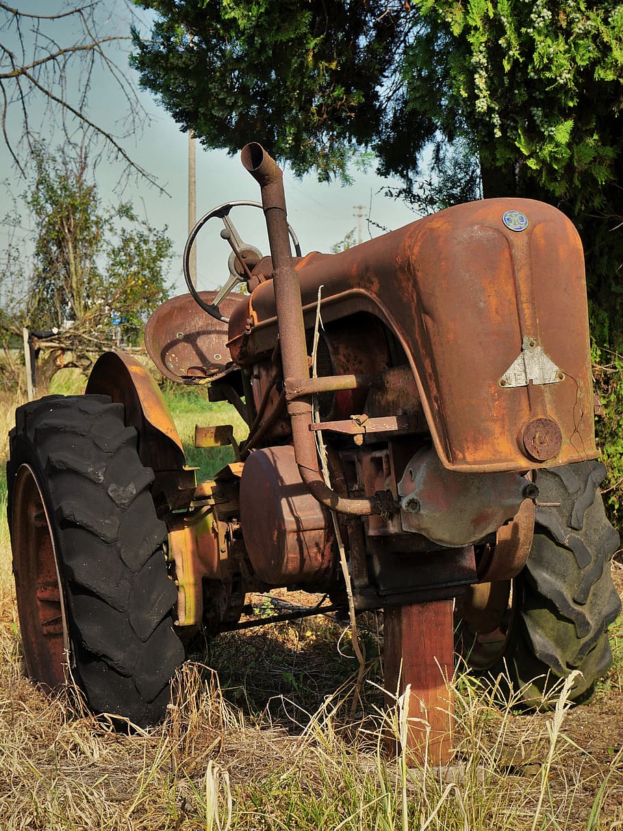 tractor, stainless, italy, machine, old, oldtimer, tractors HD wallpaper
