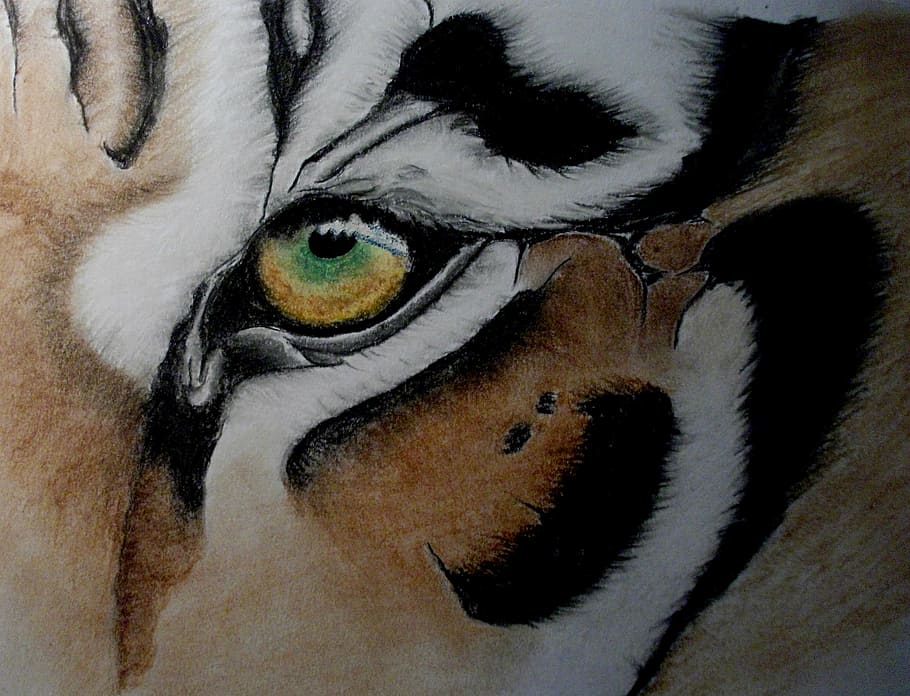 tiger, eye, artwork, pastel, one animal, close-up, animal body part HD wallpaper