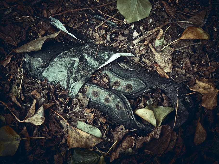HD wallpaper: shoe, old, old shoes, destroyed, broken, leaf, plant part ...