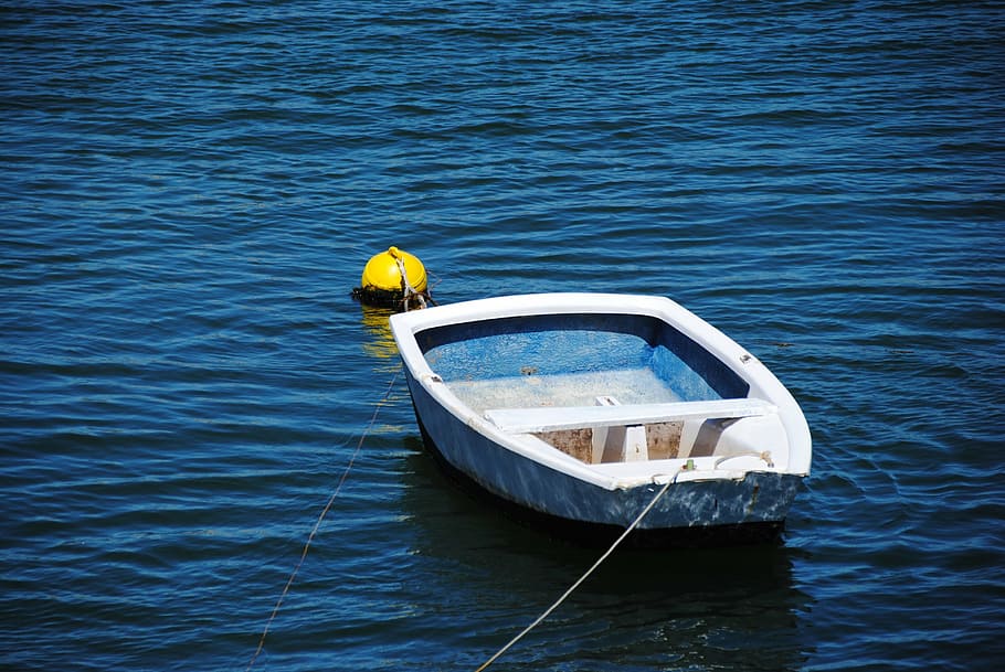 white motorboat, rowing boat, boot, blue, sea, port, boje, fender HD wallpaper
