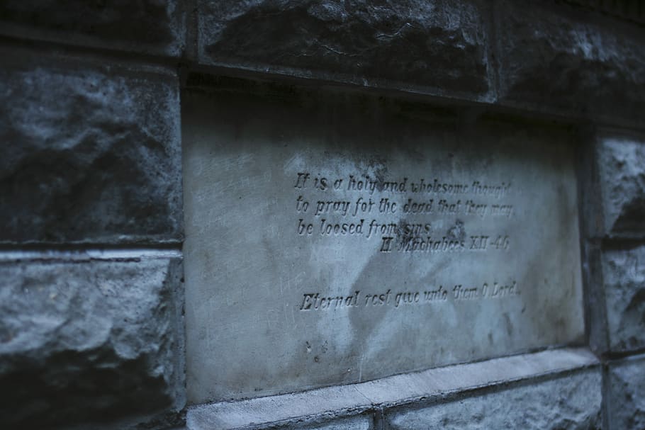 engraved letters at the wall, concrete, stone, carving, monument HD wallpaper