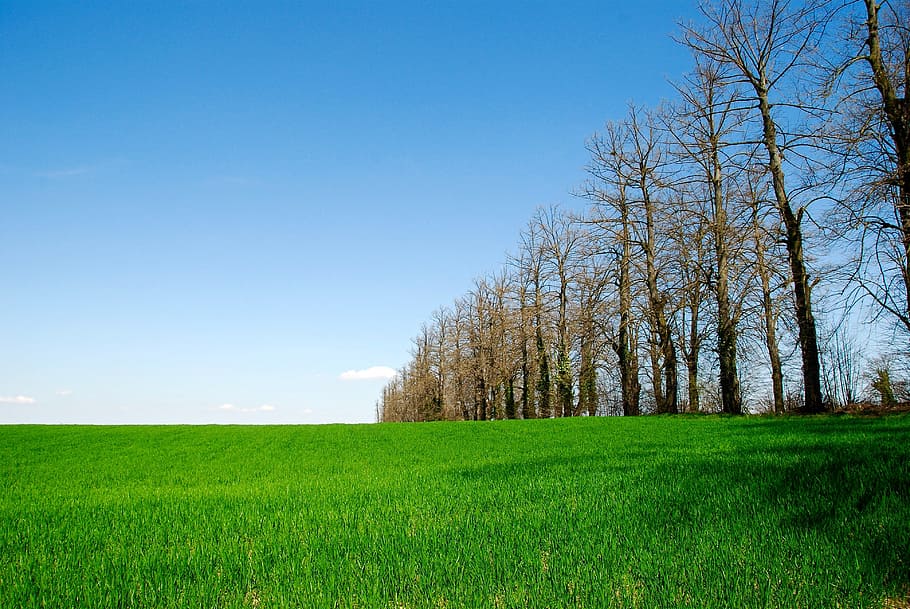 landscape, campaign, sky, nature, italy, agriculture, tranquility HD wallpaper