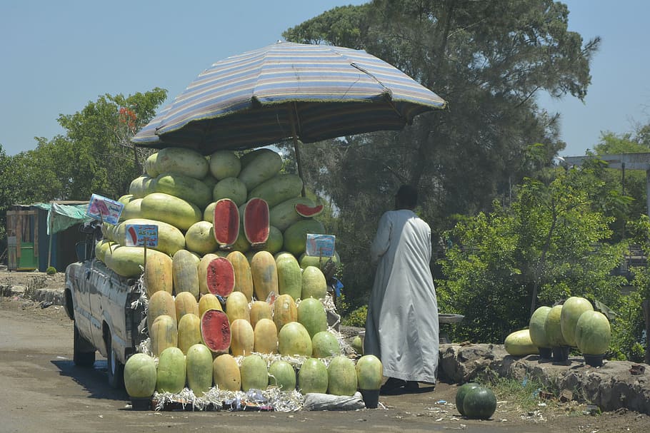 watermelon, market, street, grocery, street shop, egypt, cairo, HD wallpaper