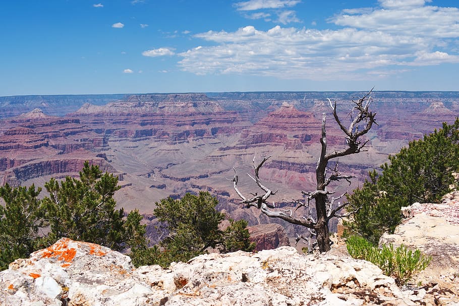 Grand Canyon, Landscape, Mountains, america, uSA, desert, nature, HD wallpaper