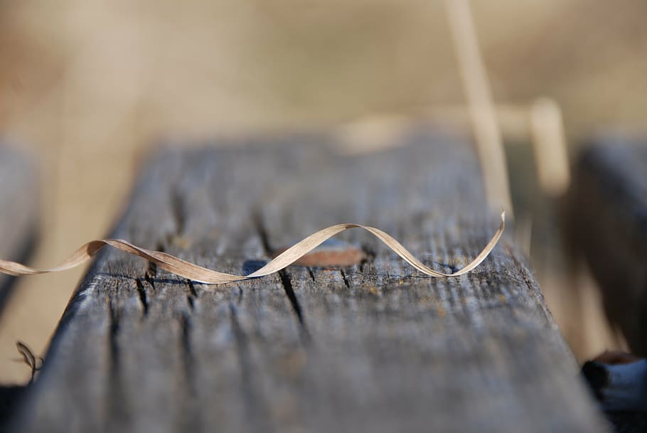 grass dries up, wood, close, wood - Material, selective focus HD wallpaper