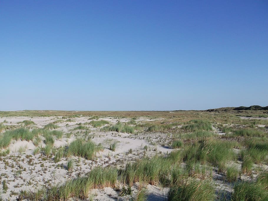 Sea, Dunes, Sand, nature, landscape, scenics, sky, no People HD wallpaper