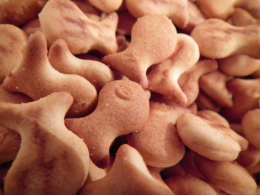 cookies, baking, paste products, oven, dessert, delicious appetizer HD wallpaper