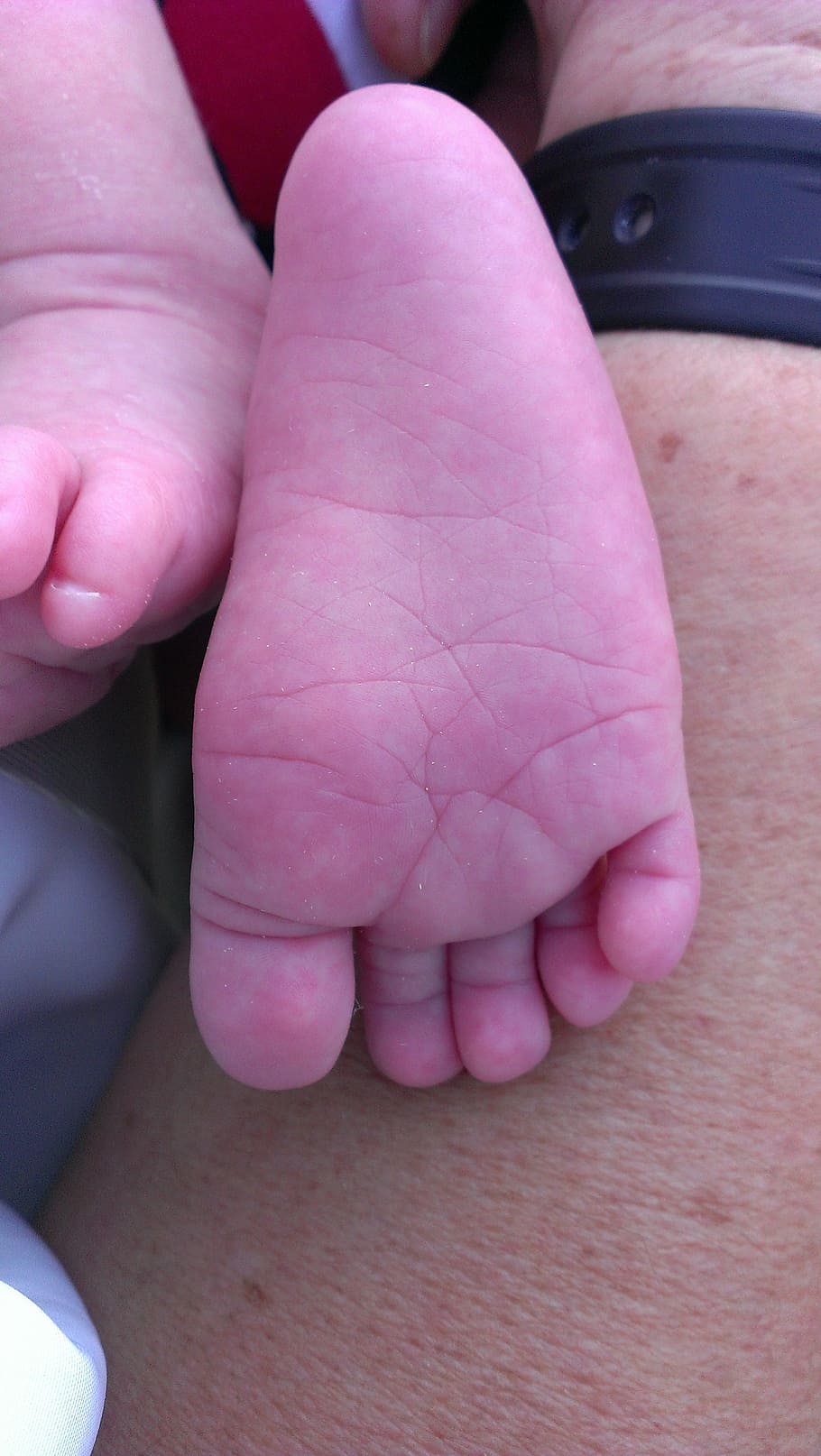 baby, life, small, walker, human body part, real people, human hand HD wallpaper