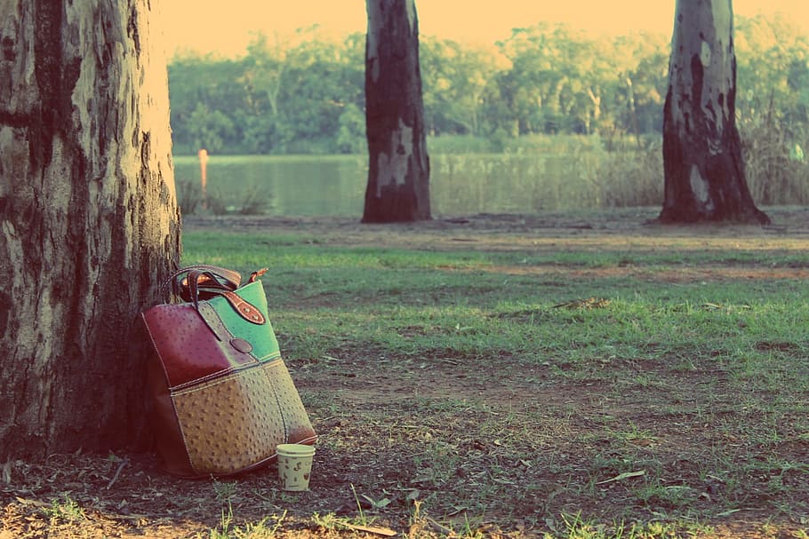 red,green and yellow leather tote bag on brown tree log, serenity