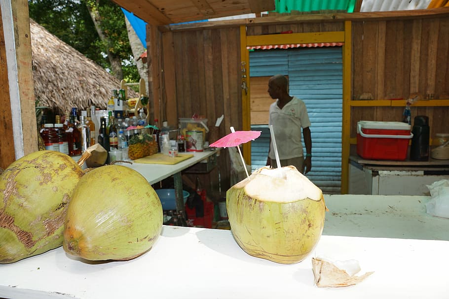 Coconuts, Caribbean, Drink, food and drink, occupation, fruit HD wallpaper