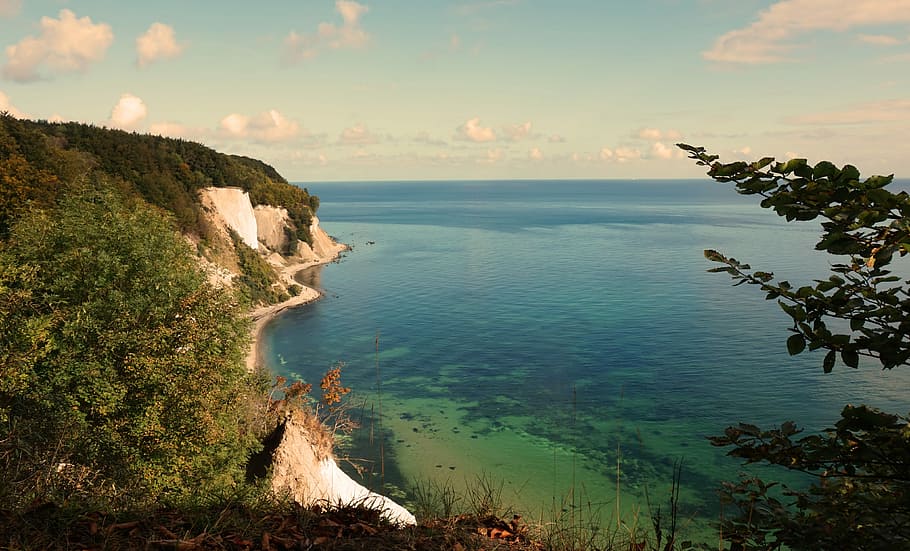 green trees near sea during day time, nature, landscape, scenics HD wallpaper
