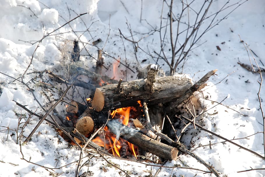 burning wood surrounded with snow, camp fire, winter, outdoor HD wallpaper