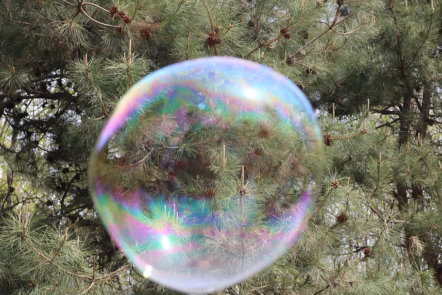 ball, nature, color, bubble, tree, plant, vulnerability, fragility HD wallpaper