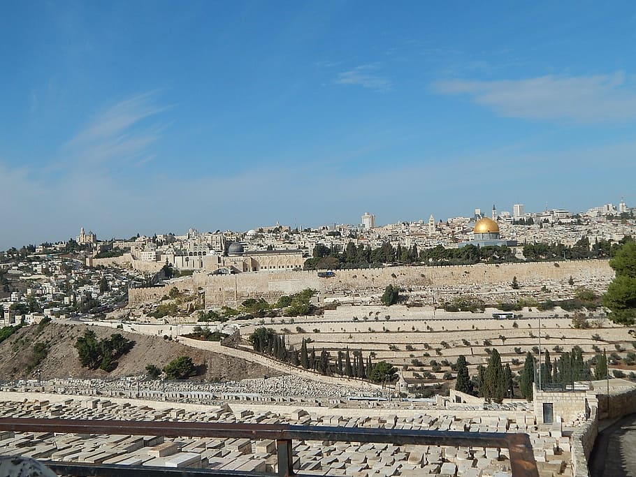 Download Palestine Mount Of Olives Wallpaper  Wallpaperscom