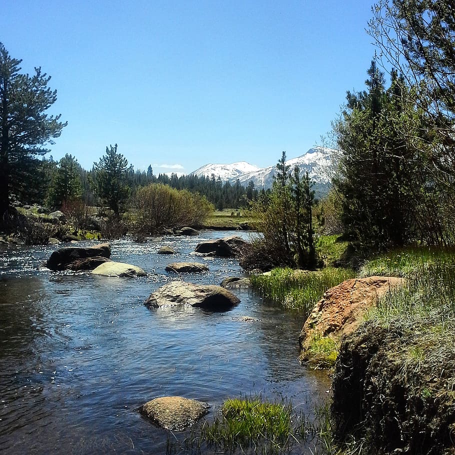 river, nature, stream, landscape, scenery, outdoor, summer HD wallpaper