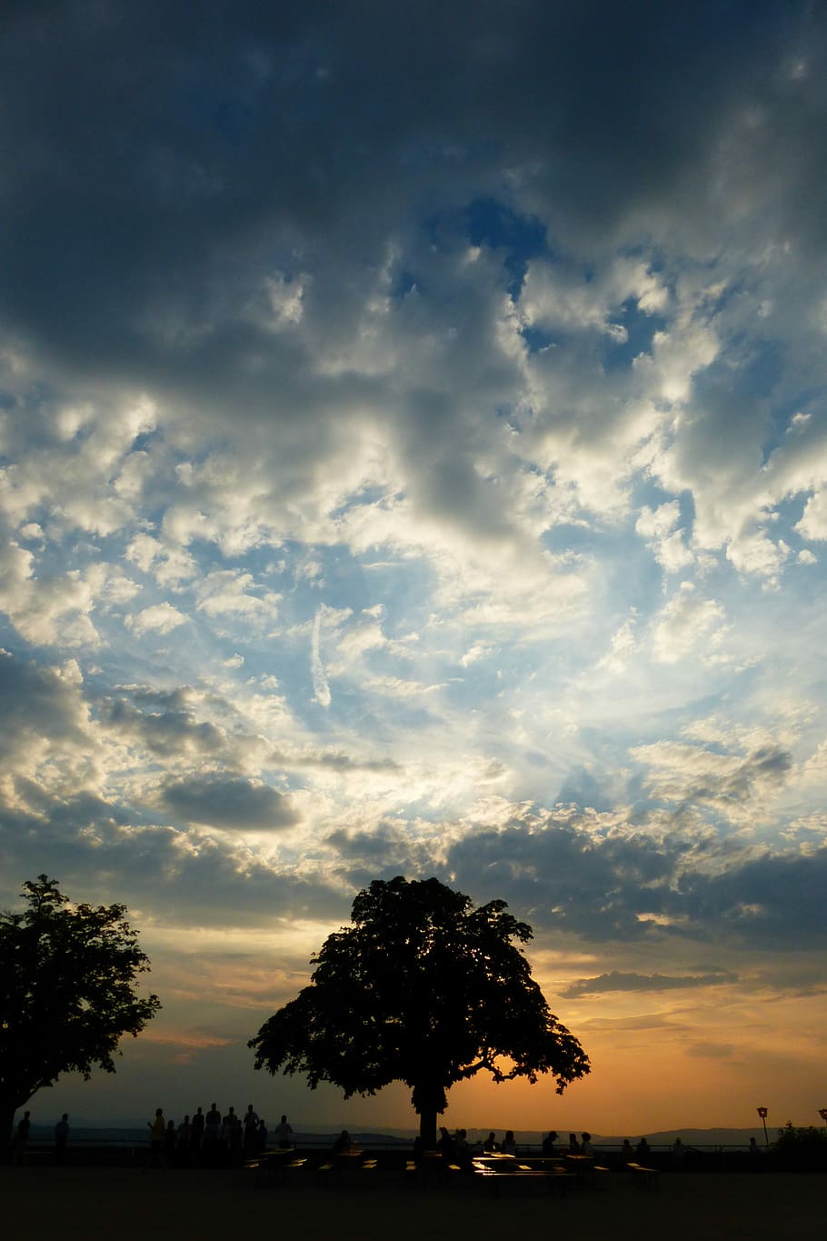 Clouds, Sunset, Evening, Sky, evening sky, abendstimmung, tree HD wallpaper
