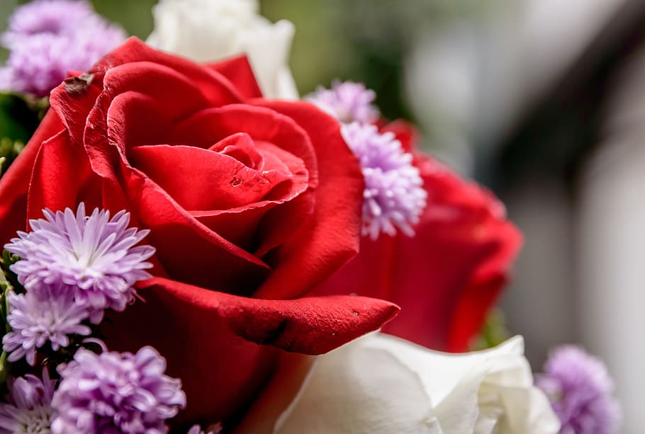 flower, roses, beautiful, background, bouquet, floral, white HD wallpaper