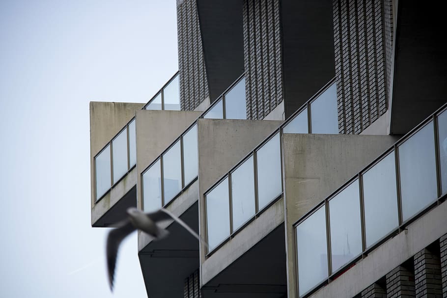gray building during daytime, macrophotography of building, architecture HD wallpaper