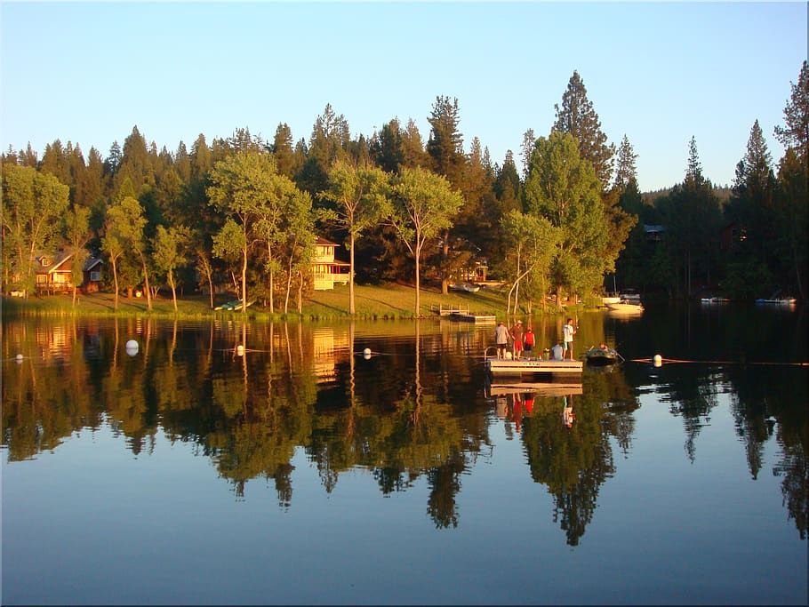 lake, trees, nature, reflection, summer, tranquil, sunny, pine lake HD wallpaper