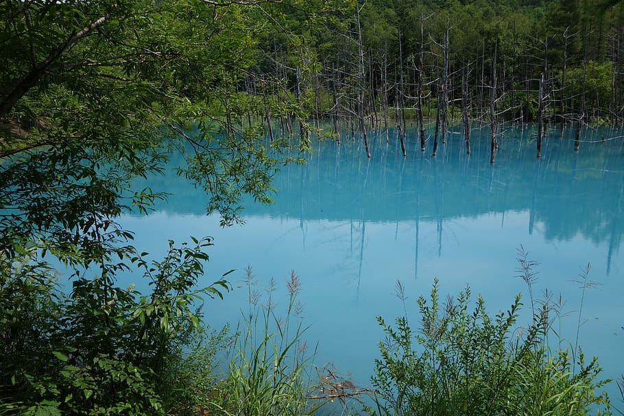 HD wallpaper: Blue Lake, Blue Water, akan national park, hokkaido ...