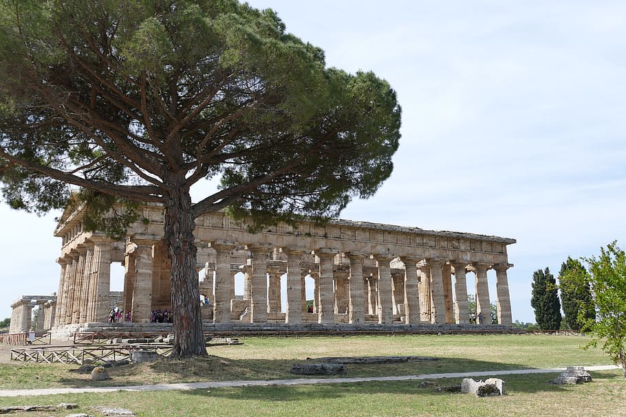 paestum, italy, antiquity, ruin, places of interest, temple, HD wallpaper