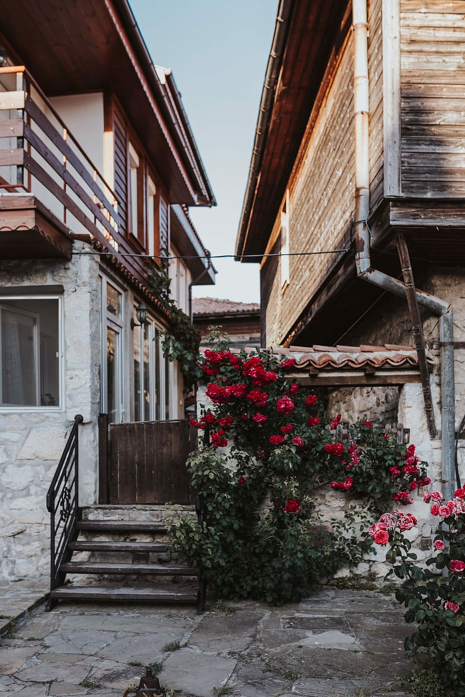 Roses of Bulgaria, flowers, flora, floral, architecture, house