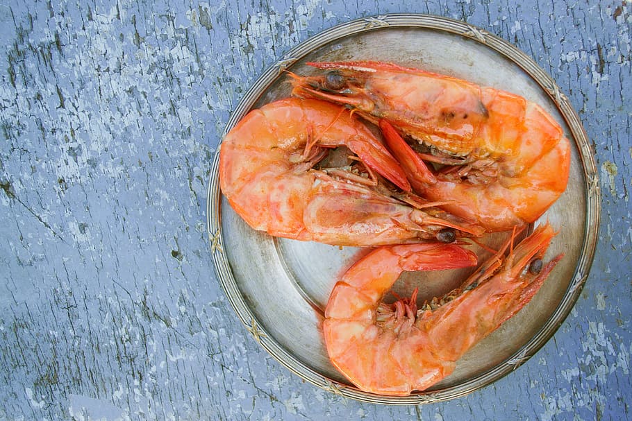 three shrimp on round gray plate, Shrimps, Food, Seafood, Meal, HD wallpaper