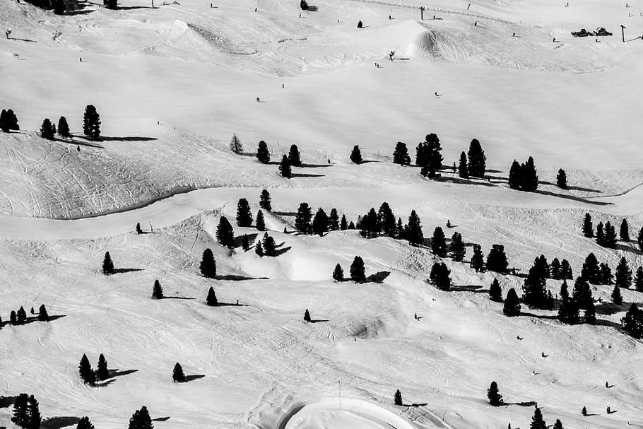 aerial photo of mountain covered in snow, high angle photo of pine trees covered with snow, HD wallpaper