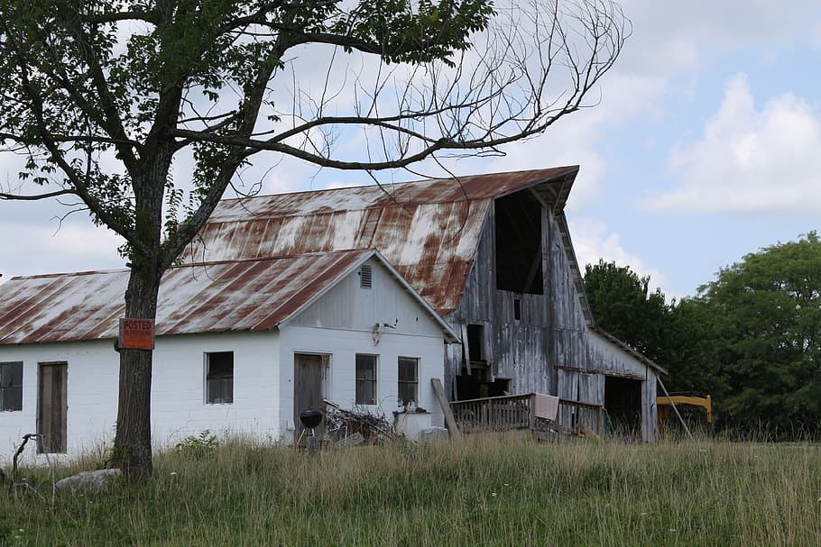 barn, farm, countryside, plant, built structure, building exterior HD wallpaper