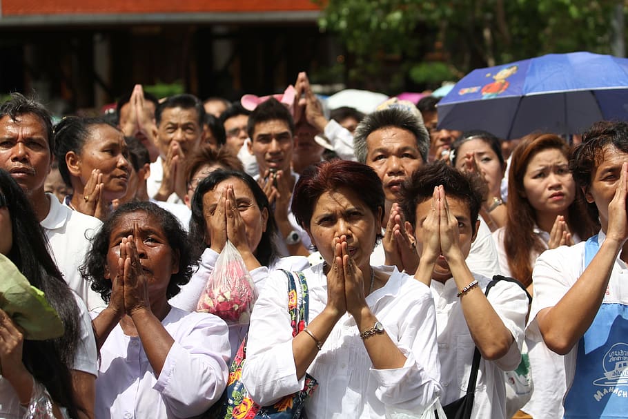 praying, buddhists, thai, temple, buddhism, thailand, asia HD wallpaper