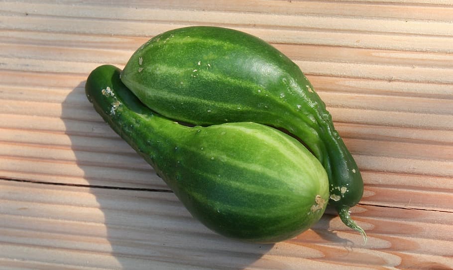 cucumbers, pair, vegetables, food and drink, healthy eating HD wallpaper