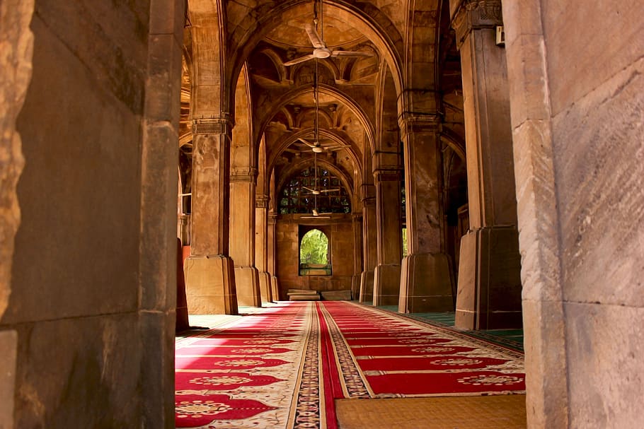 sidi saiyyed mosque, ahmedabad, ahmedabad instagram, travel, HD wallpaper