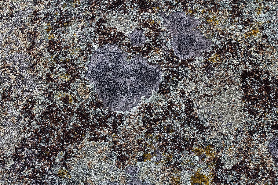 background, concrete, weave, texture, wall, weathered, full frame HD wallpaper