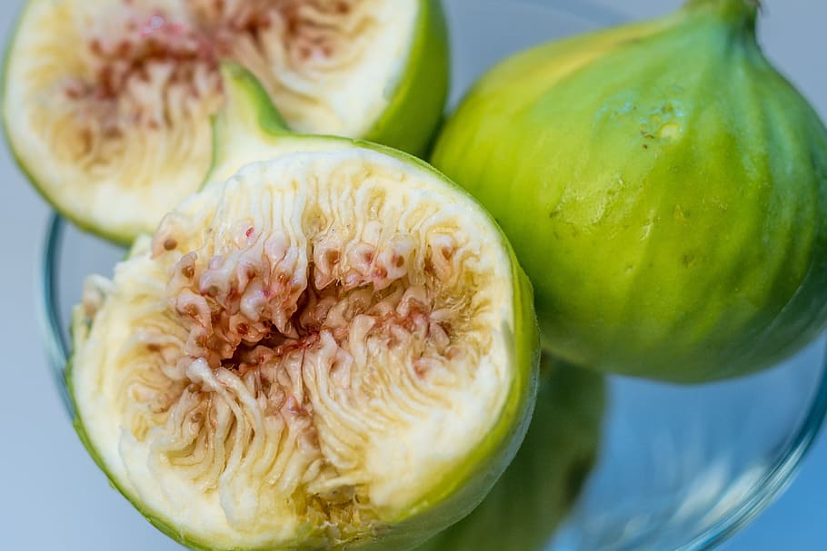 fig, fruit, sweet, garden, summer, nature, green, beautiful HD wallpaper