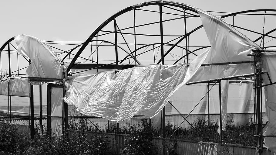 Plane, Plastic Waste, environment, recycling, greenhouse, leave HD wallpaper