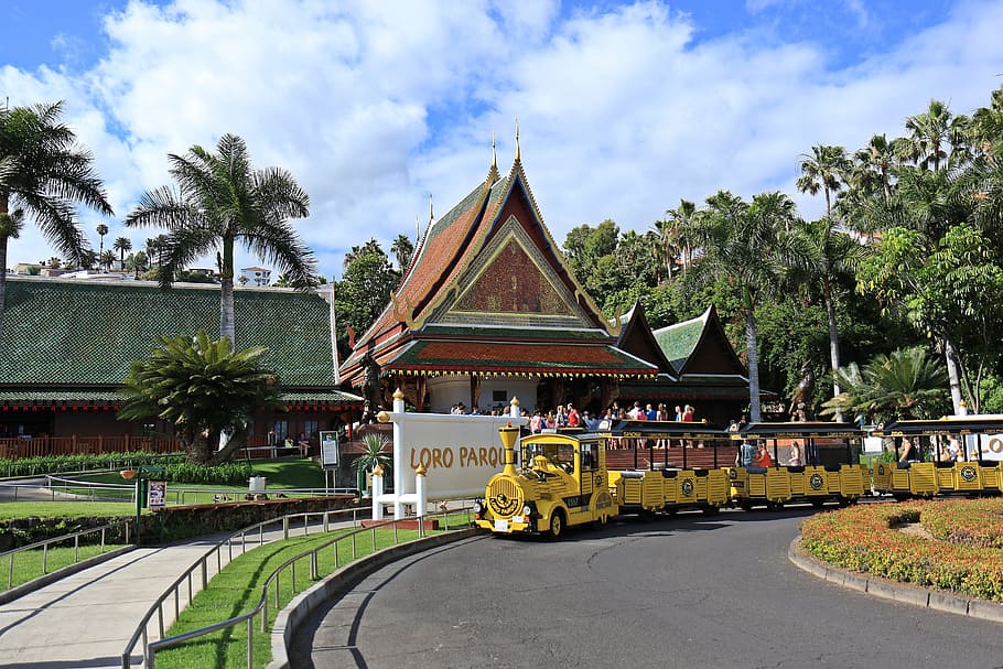 Train, Queue, Module, Rails, the queue, loro parque, tenerife HD wallpaper