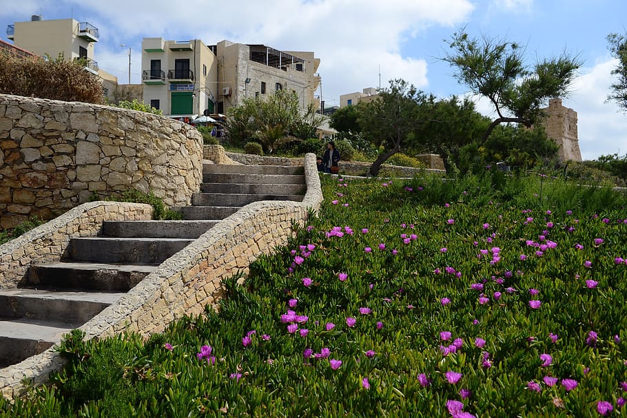 malta, gozo, stairs, gradually, building, green, purple, flowers HD wallpaper